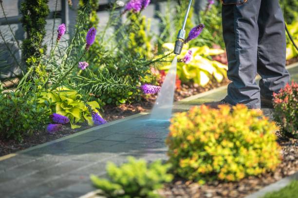 Best Warehouse Cleaning  in St Albans, VT