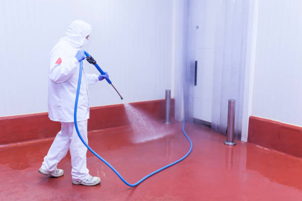 Best Boat and Dock Cleaning  in St Albans, VT
