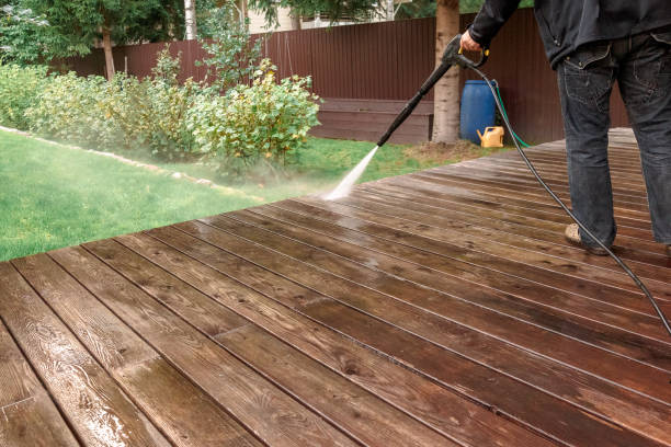 Best Animal Enclosure Cleaning  in St Albans, VT